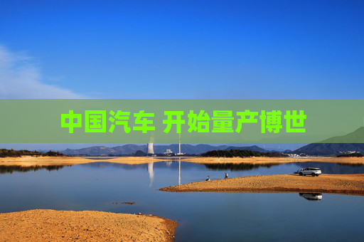 中国汽车 开始量产博世