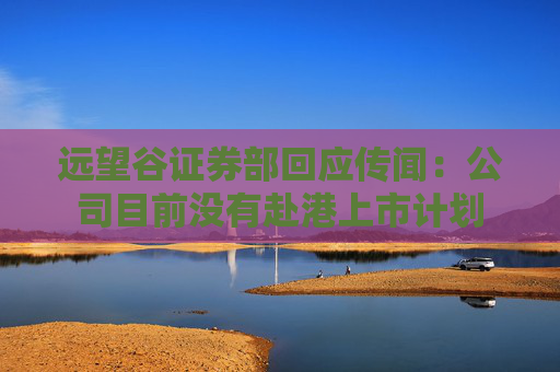 远望谷证券部回应传闻：公司目前没有赴港上市计划