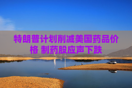特朗普计划削减美国药品价格 制药股应声下跌