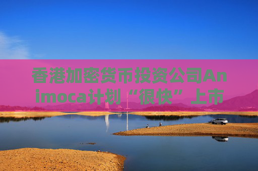 香港加密货币投资公司Animoca计划“很快”上市