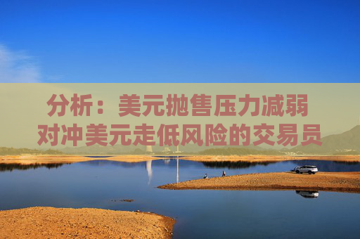 分析：美元抛售压力减弱 对冲美元走低风险的交易员并不多