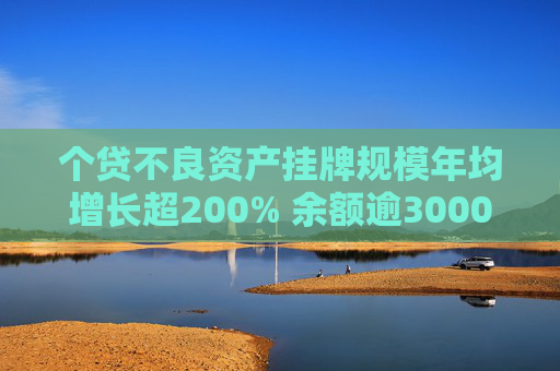 个贷不良资产挂牌规模年均增长超200% 余额逾3000亿 玩家不断入局