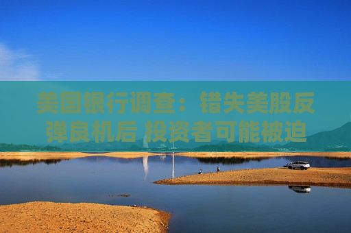 美国银行调查：错失美股反弹良机后 投资者可能被迫追涨