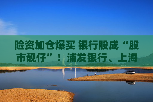 险资加仓爆买 银行股成“股市靓仔”！浦发银行、上海银行等股价飙到历史新高