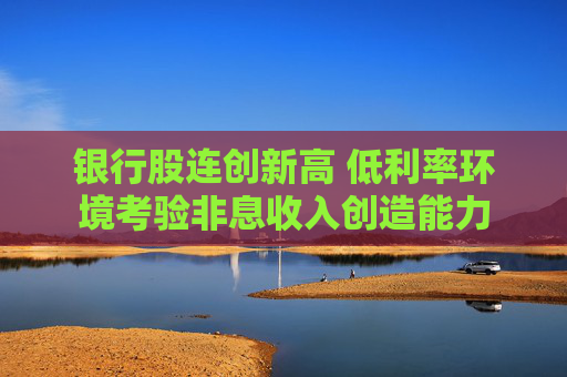 银行股连创新高 低利率环境考验非息收入创造能力