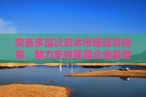 完善多层次资本市场服务体系，加力支持民营企业发展
