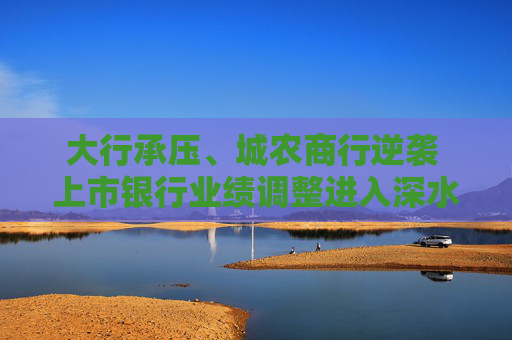 大行承压、城农商行逆袭 上市银行业绩调整进入深水区