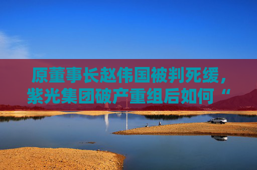 原董事长赵伟国被判死缓，紫光集团破产重组后如何“求生”？