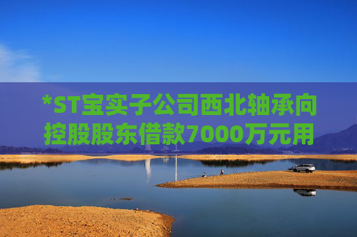*ST宝实子公司西北轴承向控股股东借款7000万元用于项目建设