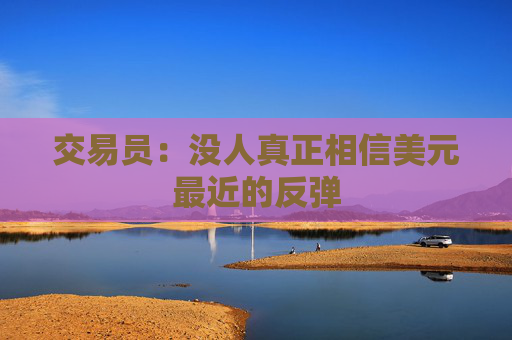 交易员：没人真正相信美元最近的反弹