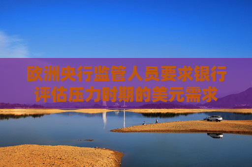 欧洲央行监管人员要求银行评估压力时期的美元需求