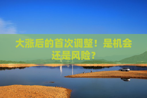 大涨后的首次调整！是机会还是风险？