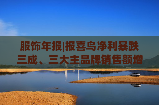 服饰年报|报喜鸟净利暴跌三成、三大主品牌销售额增长乏力 战略扩张与财务承压的双重困局