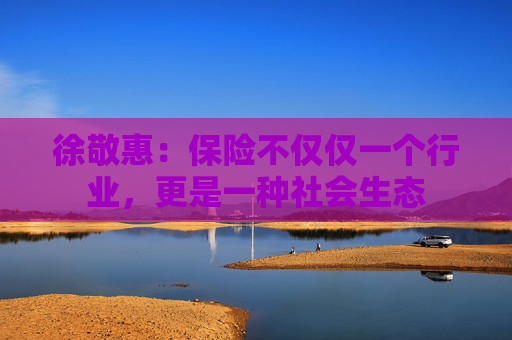 徐敬惠：保险不仅仅一个行业，更是一种社会生态