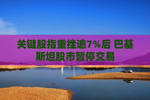 关键股指重挫逾7%后 巴基斯坦股市暂停交易
