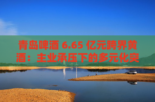 青岛啤酒 6.65 亿元跨界黄酒：主业承压下的多元化突围与协同效应考验