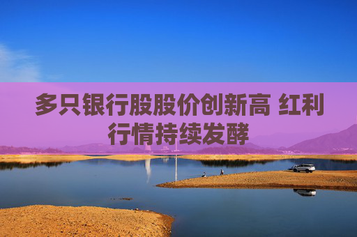 多只银行股股价创新高 红利行情持续发酵