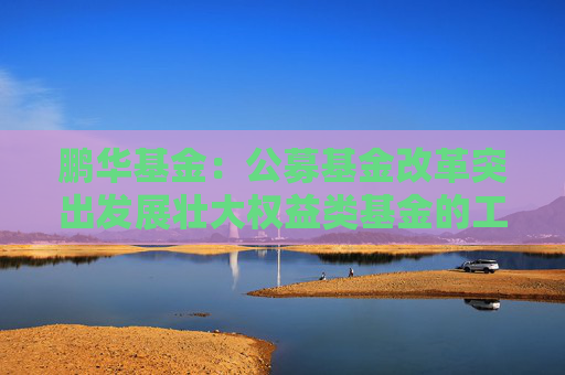 鹏华基金：公募基金改革突出发展壮大权益类基金的工作导向，权益投资规模与稳定性将进一步提高