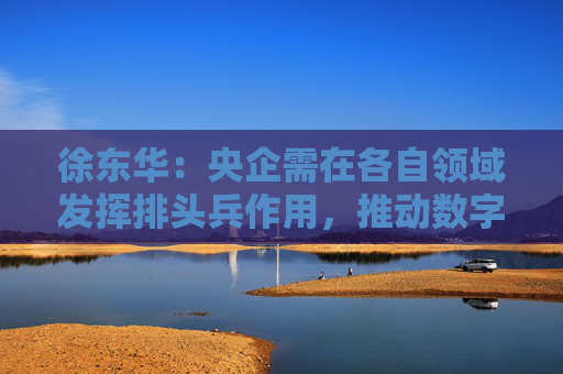 徐东华：央企需在各自领域发挥排头兵作用，推动数字化转型