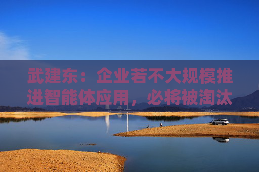 武建东：企业若不大规模推进智能体应用，必将被淘汰