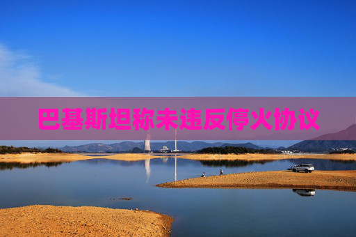 巴基斯坦称未违反停火协议
