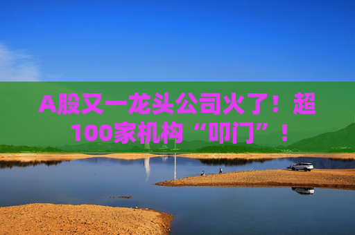 A股又一龙头公司火了！超100家机构“叩门”！