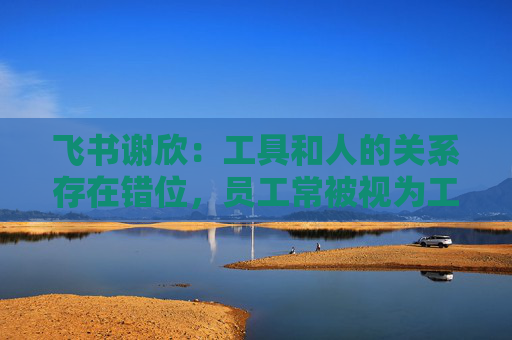 飞书谢欣：工具和人的关系存在错位，员工常被视为工具的附属