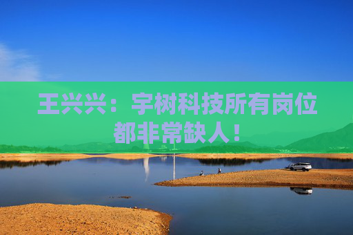 王兴兴：宇树科技所有岗位都非常缺人！  第1张