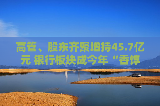 高管、股东齐聚增持45.7亿元 银行板块成今年“香饽饽”