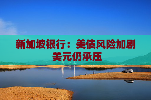 新加坡银行：美债风险加剧 美元仍承压