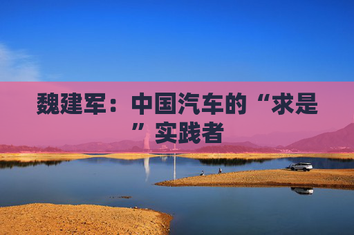 魏建军：中国汽车的“求是”实践者