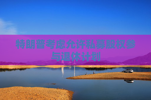 特朗普考虑允许私募股权参与退休计划
