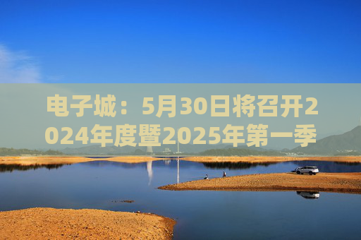 电子城：5月30日将召开2024年度暨2025年第一季度业绩说明会  第1张