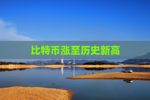 比特币涨至历史新高