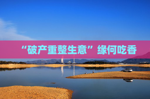 “破产重整生意”缘何吃香