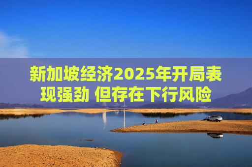 新加坡经济2025年开局表现强劲 但存在下行风险