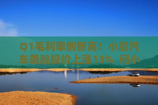 Q1毛利率创新高！小鹏汽车美股股价上涨13%  何小鹏重申Q4盈利目标