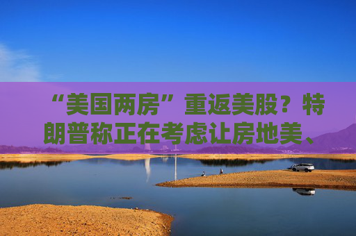 “美国两房”重返美股？特朗普称正在考虑让房地美、房利美上市