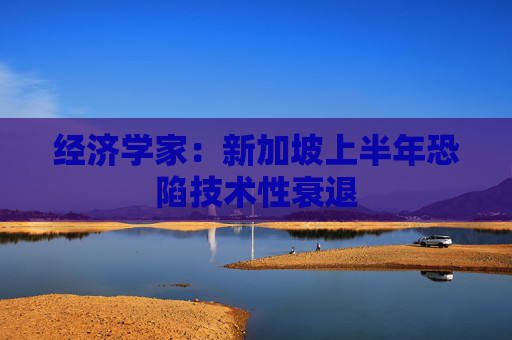 经济学家：新加坡上半年恐陷技术性衰退