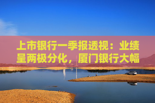 上市银行一季报透视：业绩呈两极分化，厦门银行大幅调降拨备仍营利两位数下滑