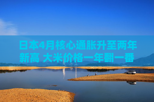 日本4月核心通胀升至两年新高 大米价格一年翻一番