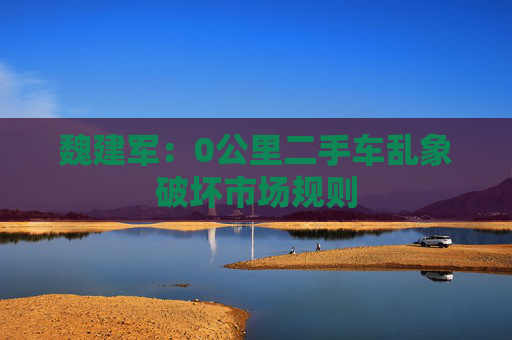 魏建军：0公里二手车乱象破坏市场规则