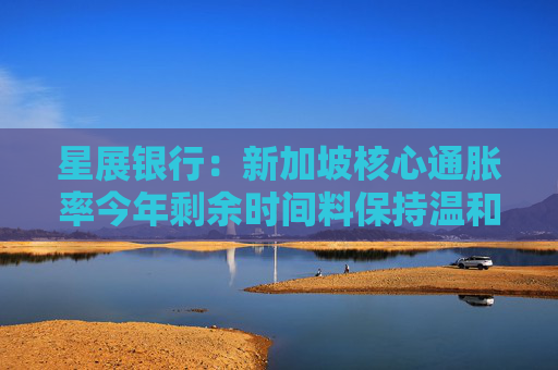 星展银行：新加坡核心通胀率今年剩余时间料保持温和