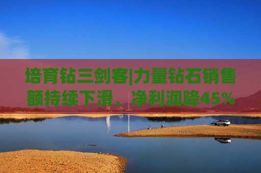 培育钻三剑客|力量钻石销售额持续下滑、净利润降45% 技术优势难抵市场浪潮下的结构性隐忧