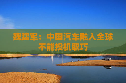 魏建军：中国汽车融入全球不能投机取巧