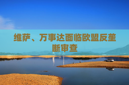 维萨、万事达面临欧盟反垄断审查