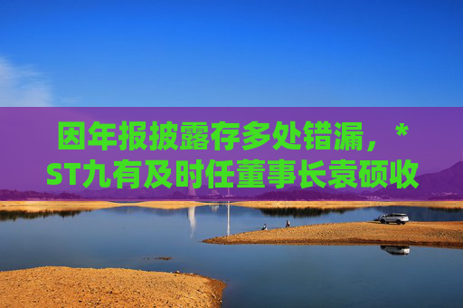 因年报披露存多处错漏，*ST九有及时任董事长袁硕收上交所监管警示函