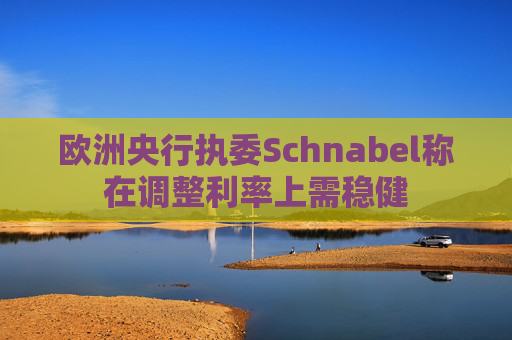 欧洲央行执委Schnabel称在调整利率上需稳健