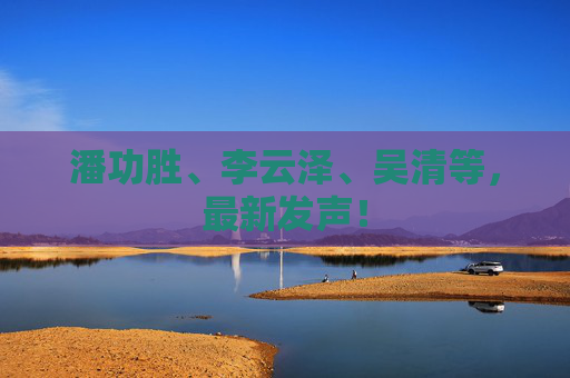 潘功胜、李云泽、吴清等，最新发声！