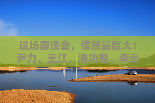 这场座谈会，信息量巨大！尹力、王江、潘功胜、李云泽、吴清参加